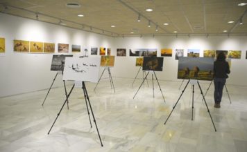 Exposición 'Mis memorias de África' en Boadilla del Monte