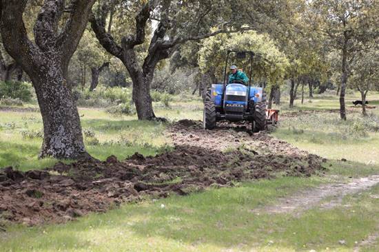 Siembra y restauración de la vegetación de los caminos cerrados al paso en Boadilla del Monte