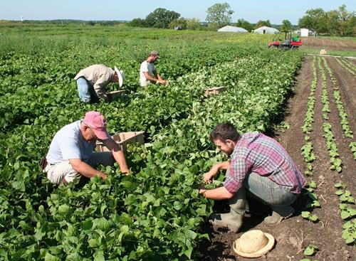 trabajadores en el campo