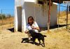 Madrid maria somoano adopta boadilla arat veterinarios perrros refugio mascotas2 4.1
