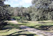 Monte Boadilla-Los Fresnos