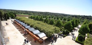 feria del libro de boadilla del monte 2022 en jardines palacio infante don luis