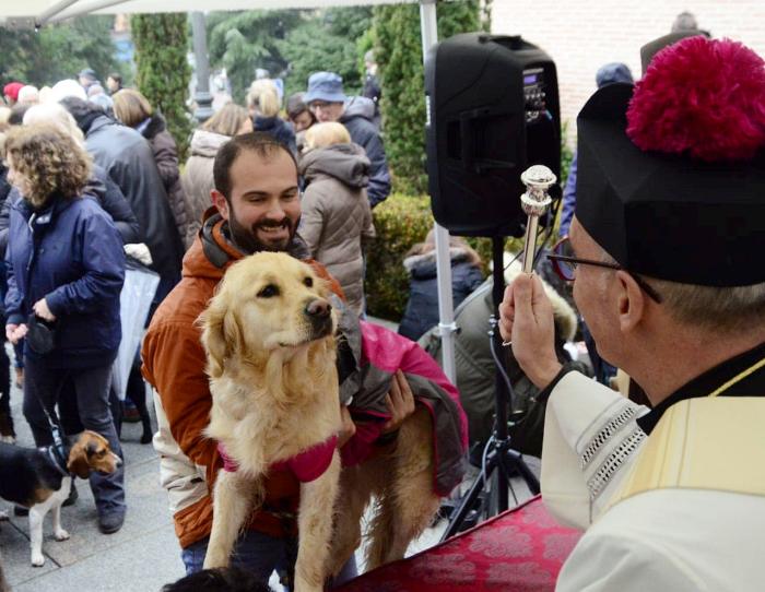 Boadilla del Monte bendicion de mascotas en boadilla del monte enero 2020