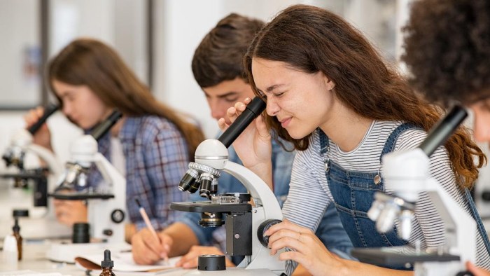 Así es STEMadrid, el proyecto que estará en los colegios e institutos bilingües el curso que viene