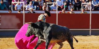 Corrida de toros en las fiestas Boadilla del Monte 2017