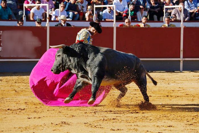 Corrida de toros en las fiestas Boadilla del Monte 2017