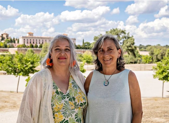 Mas Madrid Boadilla del Monte con el Palacio del Infante D. Luis al fondo