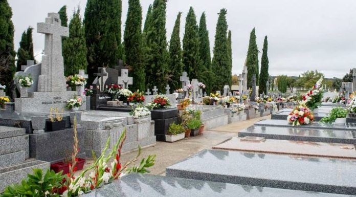 Cementerio municipal de Boadilla del Monte 2023