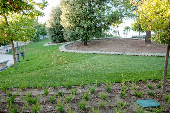 Jardines entorno Palacio Infante Don Luis Boadilla del Monte octubre 2024