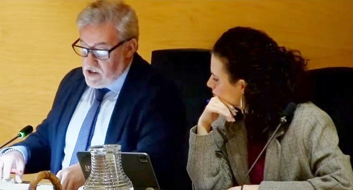 Grupo municipal socialista Ayuntamiento Boadilla del Monte enero 2025