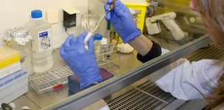 Investigación en el Hospital Puerta de Hierro Majadahonda de la Comunidad de Madrid
