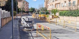Árbol talado por obras en el casco histórico de Boadilla del Monte 24 marzo 2025