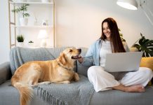 Conviviencia de mascota en una casa