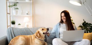 Conviviencia de mascota en una casa