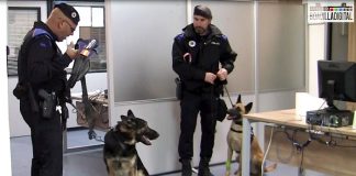 Imagen del vídeo reportaje de Boadilladigital con la Unidad Canina de la Policía Local de Boadilla del Monte