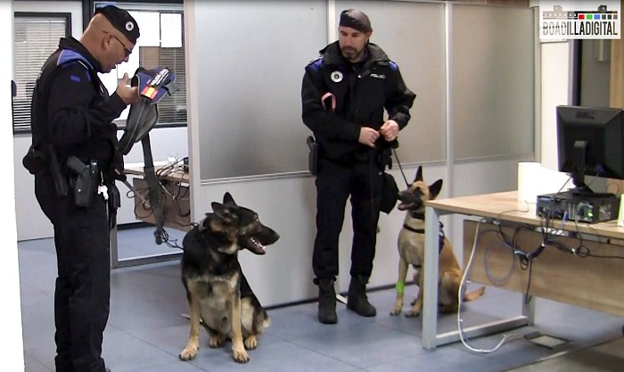 Imagen del vídeo reportaje de Boadilladigital con la Unidad Canina de la Policía Local de Boadilla del Monte