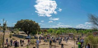 Plantacion de arboles como homenaje a bebés nacidos en 2018 en Boadilla del Monte