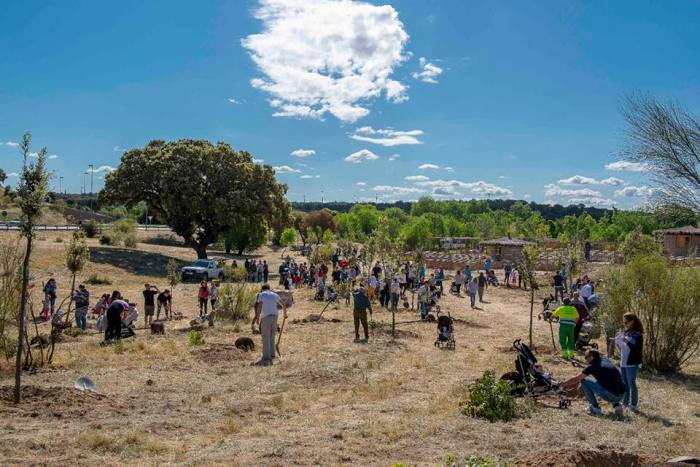 Boadilla del Monte inicia proceso de homenaje a niños nacidos en 2024 Plantacion de arboles como homenaje a bebés nacidos en 2018 en Boadilla del Monte