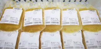 Bolsas de plasma en la Comunidad de Madrid