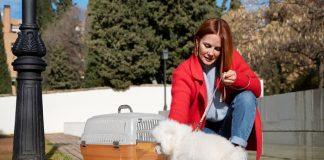 Madrid, pet friendly, servicios clave para quienes viven con mascotas