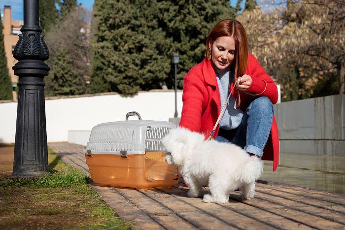 Madrid, pet friendly, servicios clave para quienes viven con mascotas