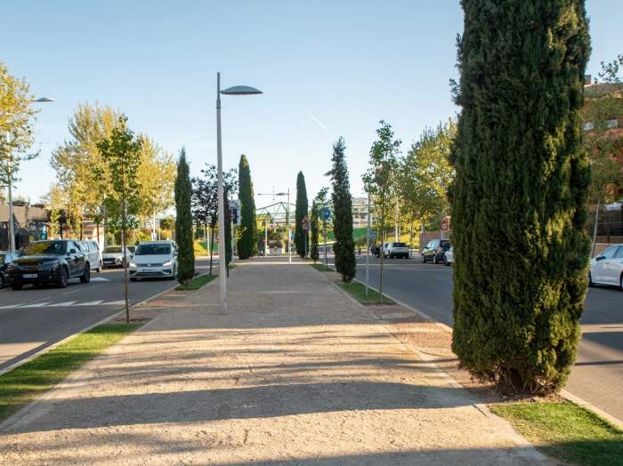 árboles en Boadilla del monte 2025