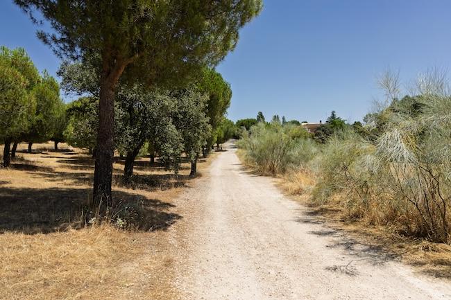 Boadilla del Monte licita la ampliación de su red ciclista y sendas con 11 nuevos kilómetros red ciclista carril bici julio 2025