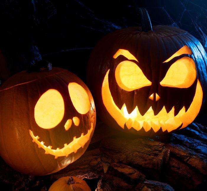 calabazas-de-halloween-talladas-con-telarana