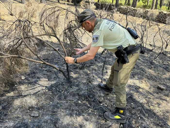 Brigadas Especiales de Incendios Forestales de la comunidad de Madrid
