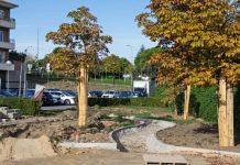 obras en el parque Virgen del Pilar en Boadilla del Monte 2025