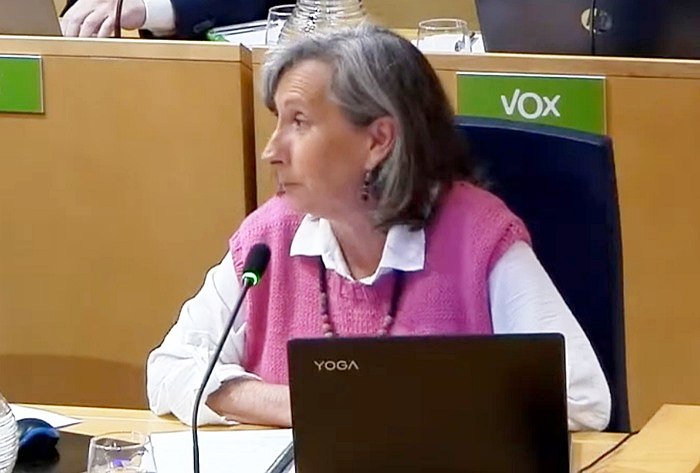 Marian Graña concejala Más Madrid Boadilla del Monte noviembre 2025