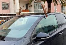 adornos de reno en coche