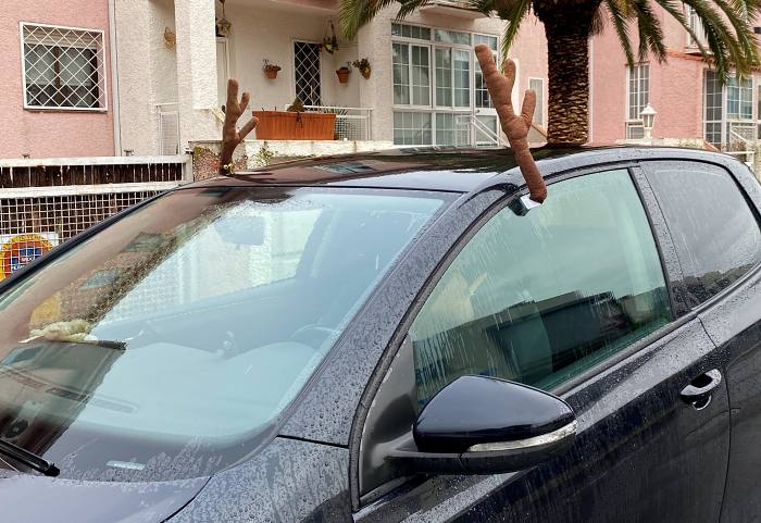 adornos de reno en coche