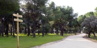 senda ciclable paralela a la carretera M-516 en Boadilla del Monte marzo 2026