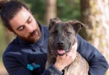 La Comunidad de Madrid aumenta un 66% la capacidad del Centro Integral de Acogida de Animales abril 2026