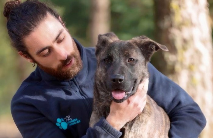 La Comunidad de Madrid aumenta un 66% la capacidad del Centro Integral de Acogida de Animales abril 2026