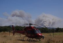La recuperación tras los incendios centra el debate: financiación en Madrid y presión de ATA por ayudas directas La recuperación tras los incendios centra el debate financiación en Madrid y presión de ATA por ayudas directas