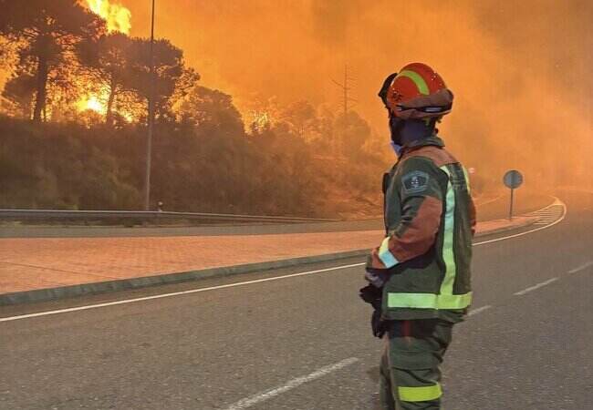 Los incendios forestales calcinan más de 172.000 hectáreas este año en España tras un fin de semana crítico Los incendios forestales calcinan más de 172.000 hectáreas este año en España tras un fin de semana crítico