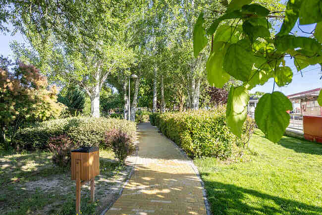 Boadilla del Monte refuerza sus zonas verdes con la plantación de más de 50.000 árboles, arbustos y flores en 2025