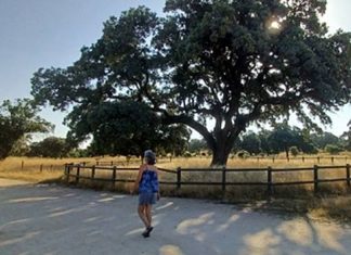 Boadilla del Monte Imagen Ruta verde Boadilla del Monte Majadahonda y Pozuelo de Alarcon 2026