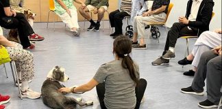 Boadilla del Monte Terapia de perros y pacientes con trastornos mentales graves Comunidad de MAdrid 2026